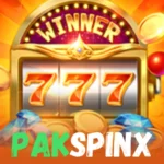 PAK Spin X