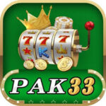 Pak33 Game