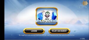 Wild Joker 1